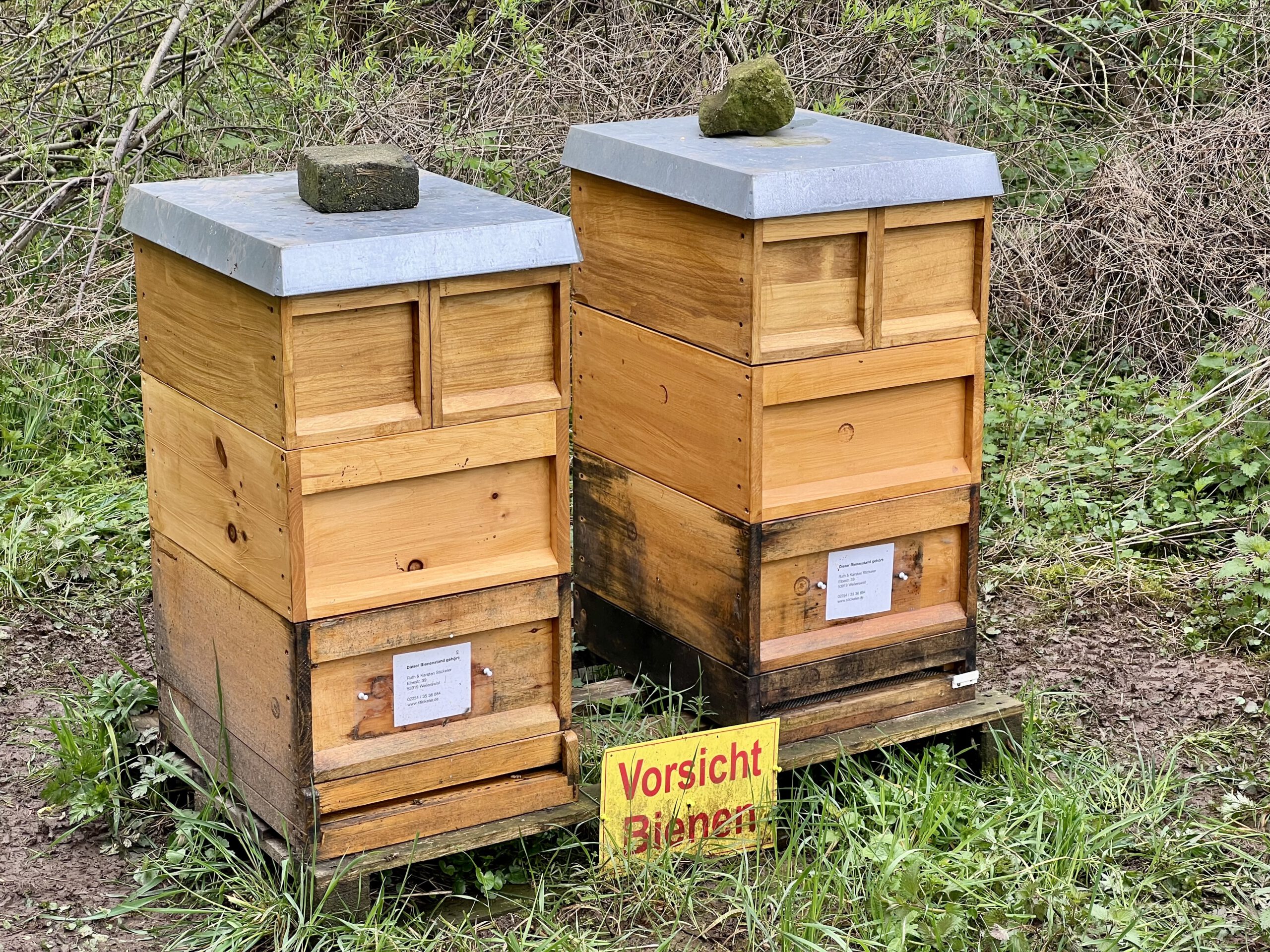 Arbeit an den Bienenvölkern